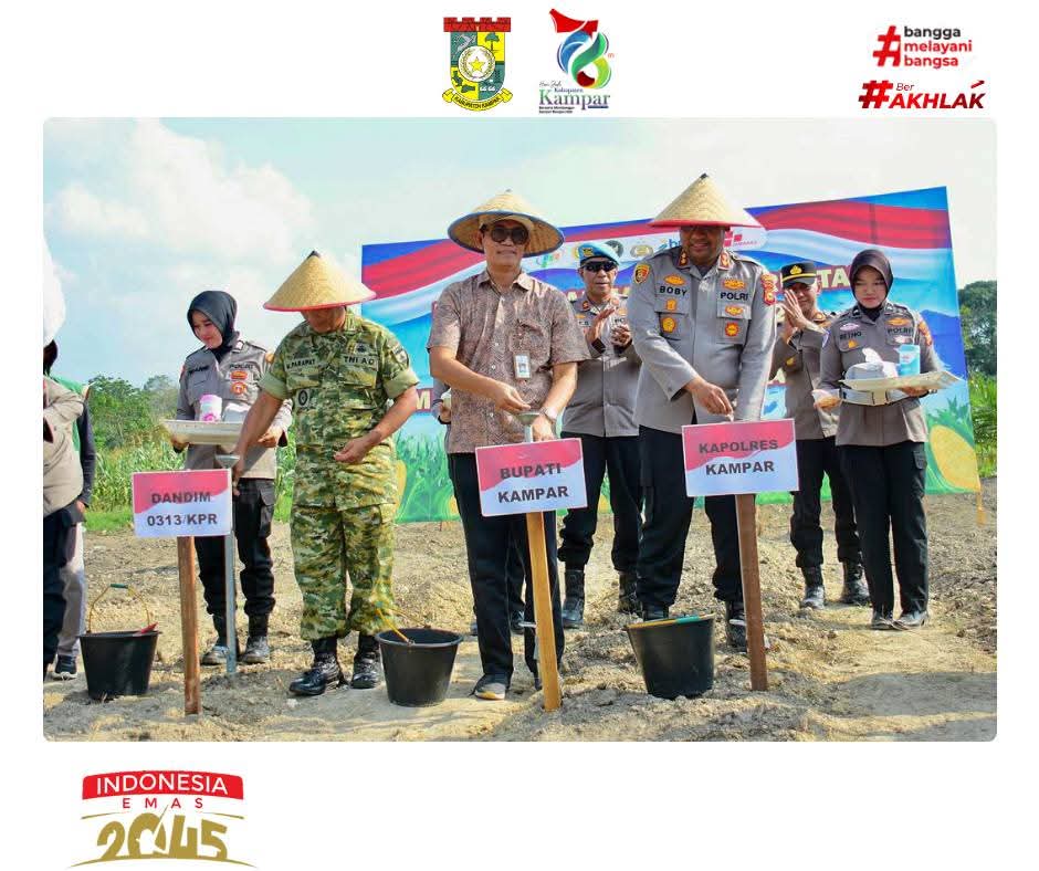 Pemkab Kampar Perkuat Ketahanan Pangan Melalui Program Tanam Raya Jagung